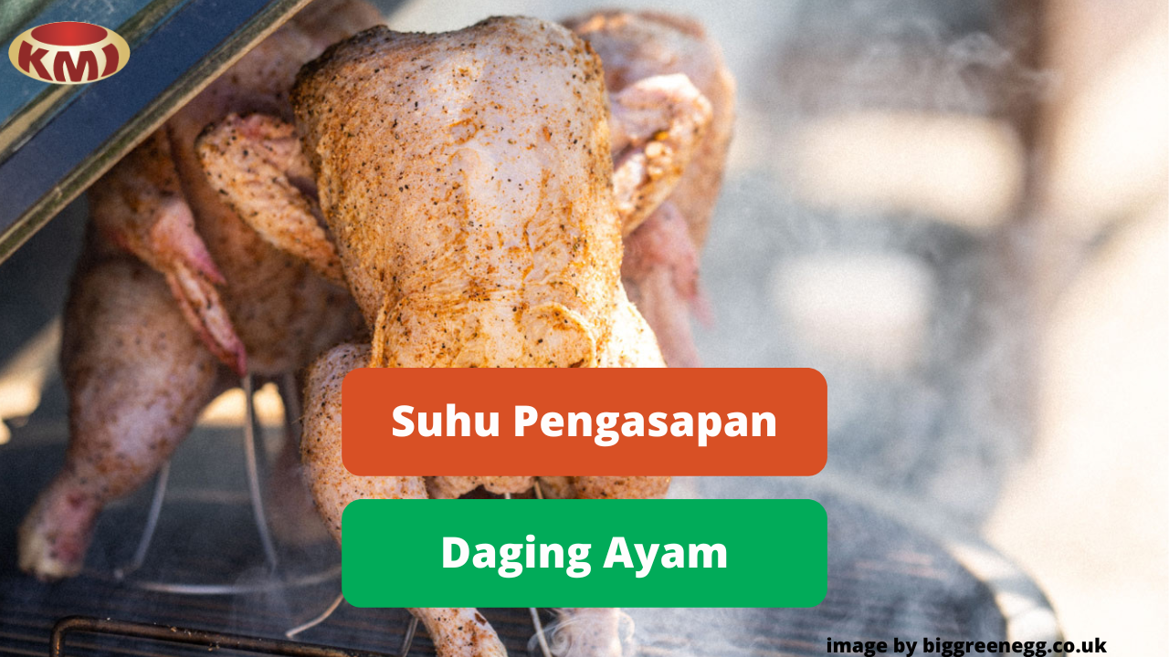 Suhu Yang Tepat Dalam Pengasapan Daging Ayam